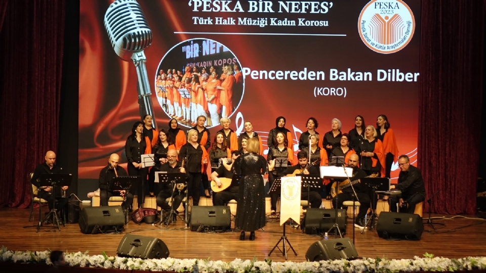 Türk Halk Müziği&nbsp;